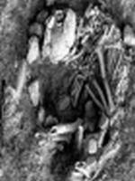 Pisica ingropata alaturi de stapanul ei, acum 10.000 de ani                                         